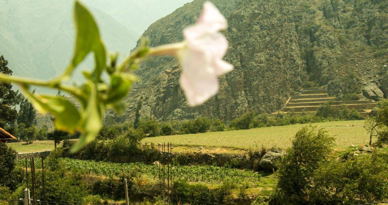 Inka Khawarina Tambo Lodge Ollantaytambo Esterno foto